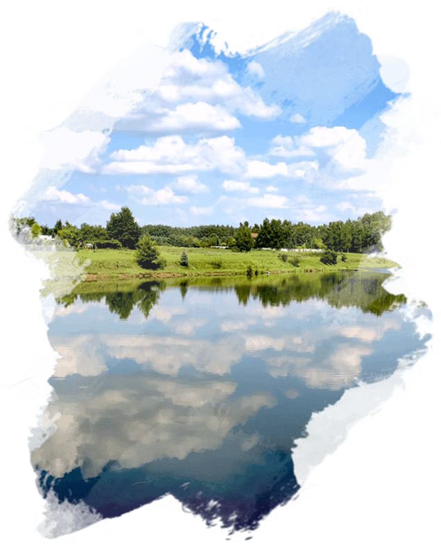 Widok łowiska – zalew i tereny zielone