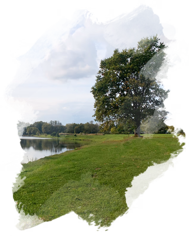 Łowisko Musuły